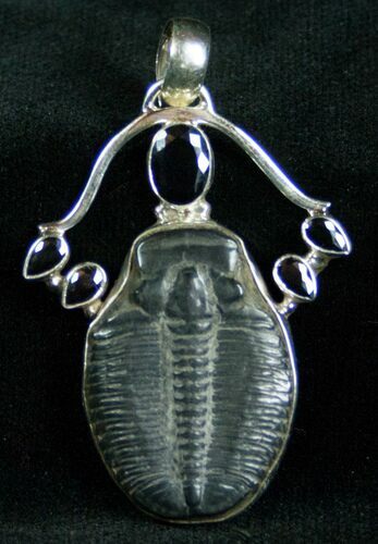 Sterling Silver Elrathia Trilobite Pendant #7040